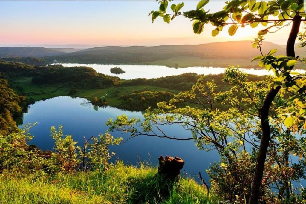 Вилла Gite Jura Mina Chalet Au Milieu De La Nature Ney Экстерьер фото