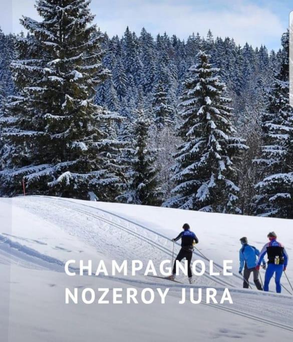 Вилла Gite Jura Mina Chalet Au Milieu De La Nature Ney Экстерьер фото