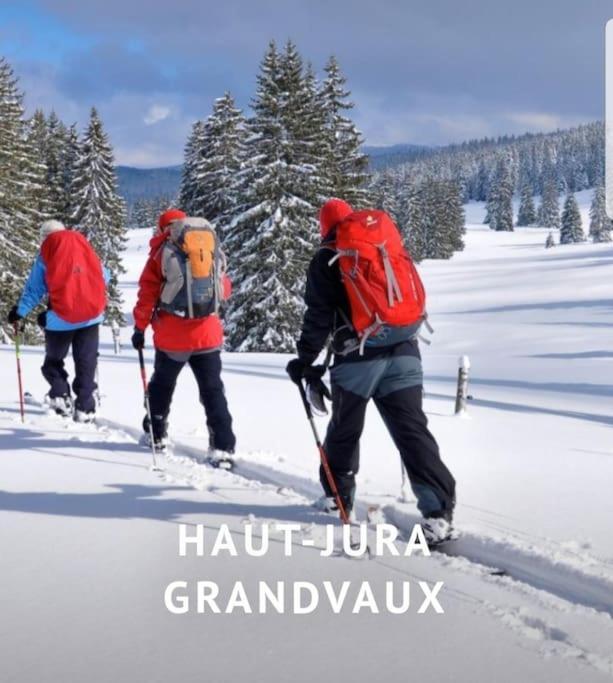 Вилла Gite Jura Mina Chalet Au Milieu De La Nature Ney Экстерьер фото