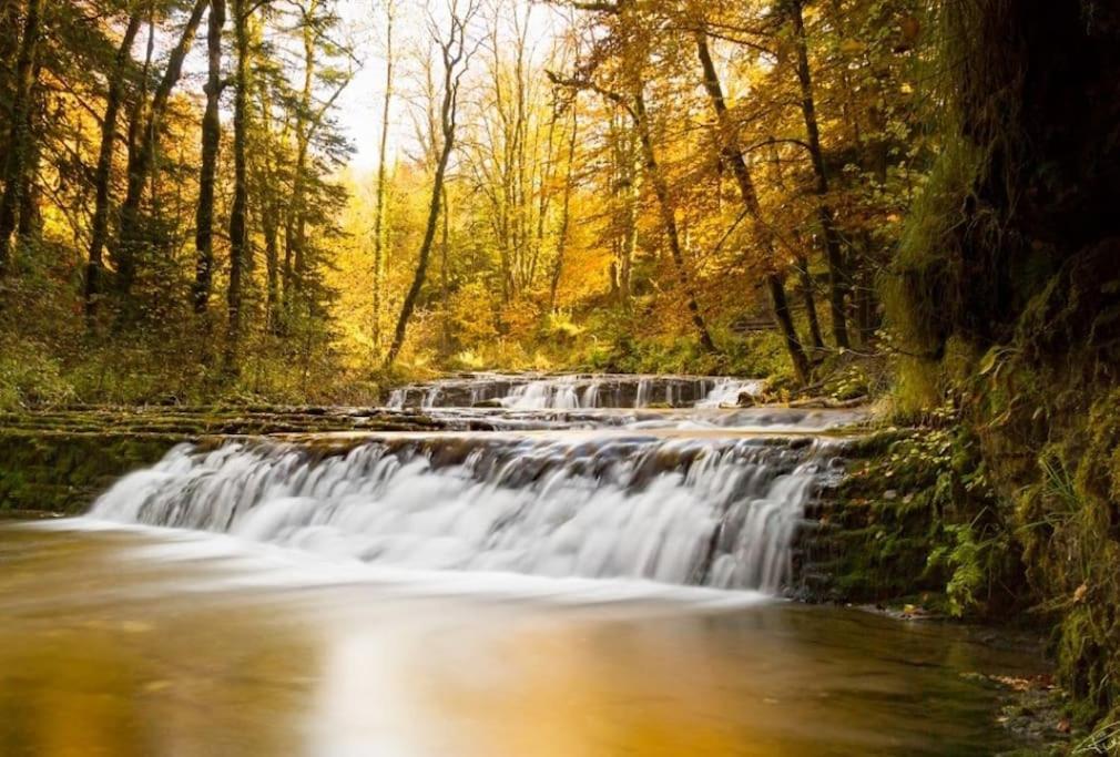 Вилла Gite Jura Mina Chalet Au Milieu De La Nature Ney Экстерьер фото
